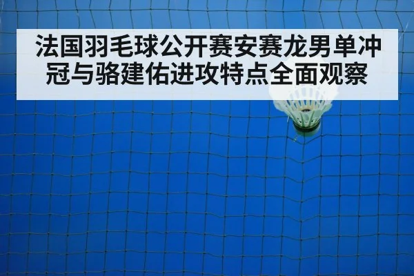 badminton net play